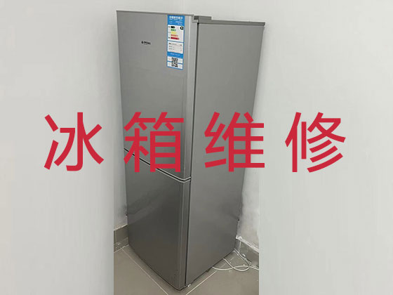 桂林冰箱冰柜维修上门服务